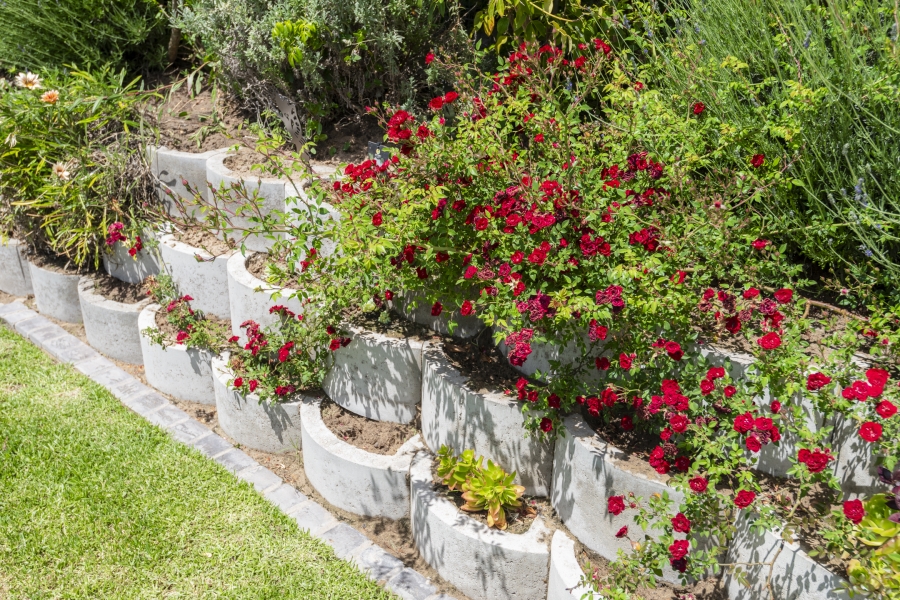 3 Bedroom Property for Sale in Laguna Western Cape